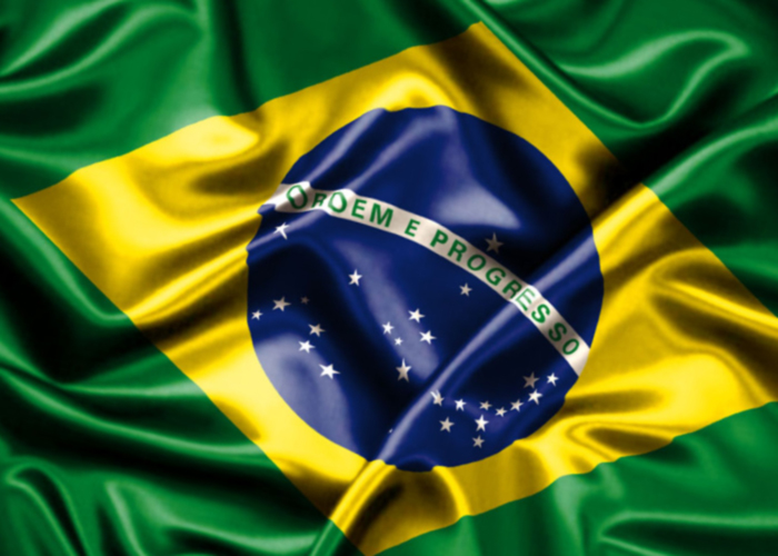 Resultado de imagem para ilustração povo nas ruas bandeira do Brasil