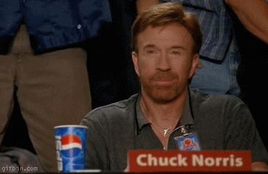 GIF Chuck Norris Approves