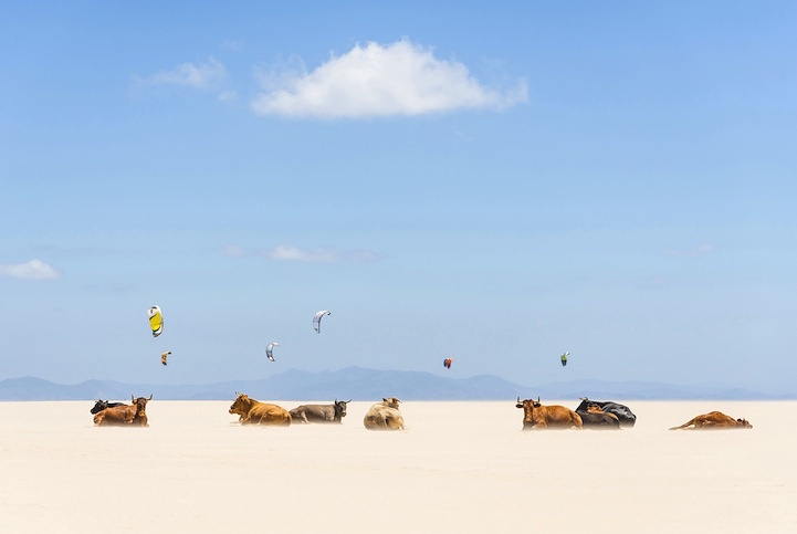 Cows And Kites - 2013-11-08_228746_places.jpg